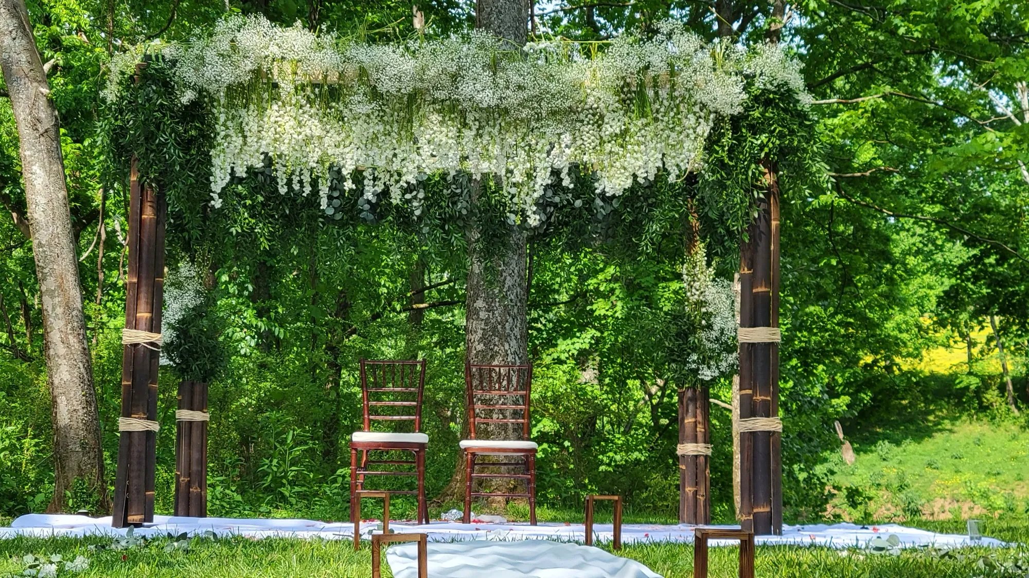 Bamboo mandap full view wisteria canopy — Rustic Bamboo Garden Mandap